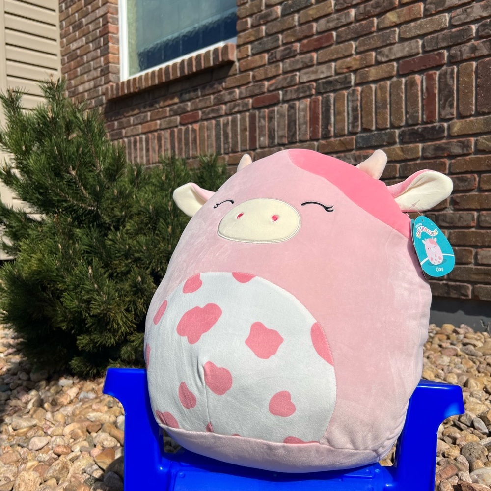 Pink cow squishmallow named clay 16 inches